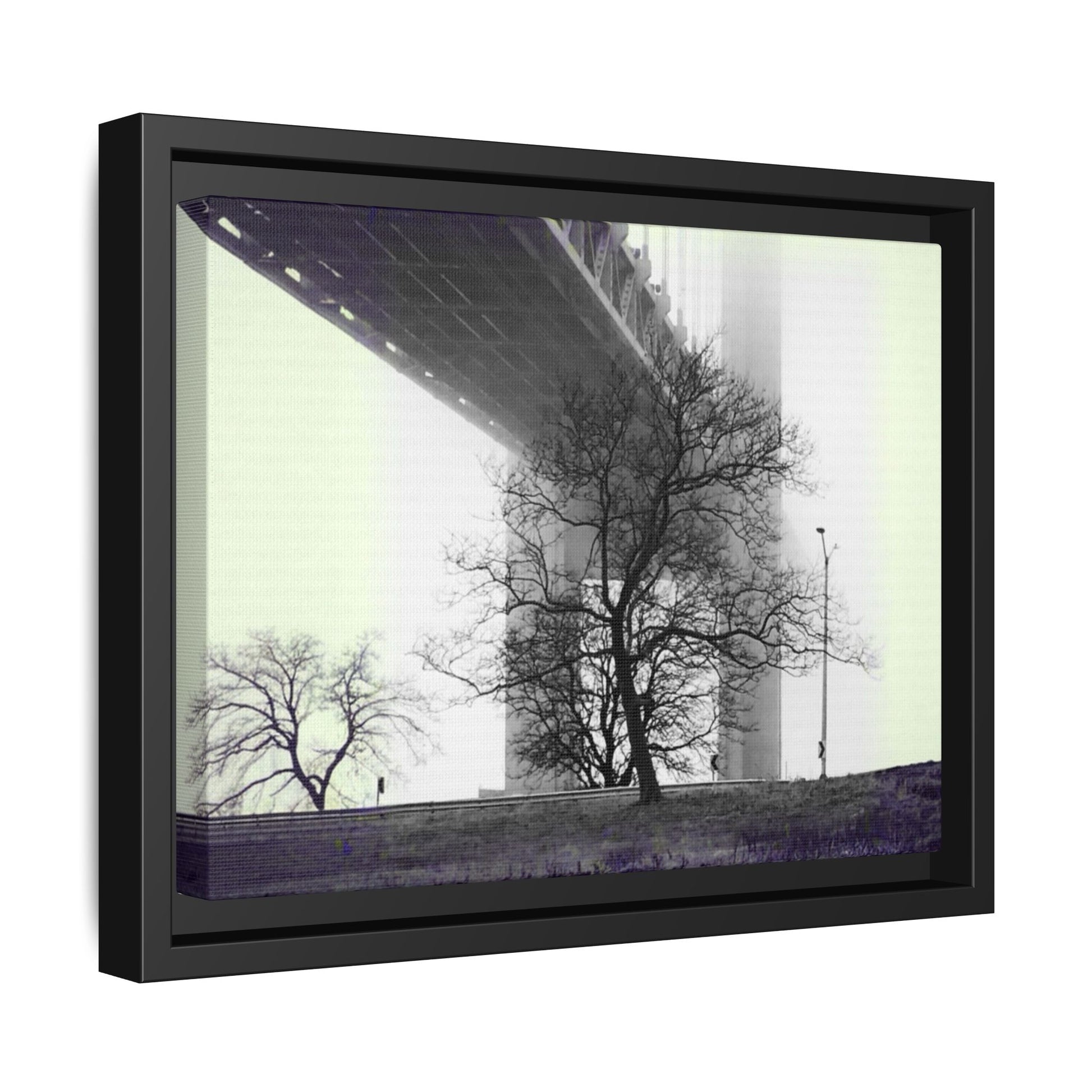 "Verrazano Bridge"