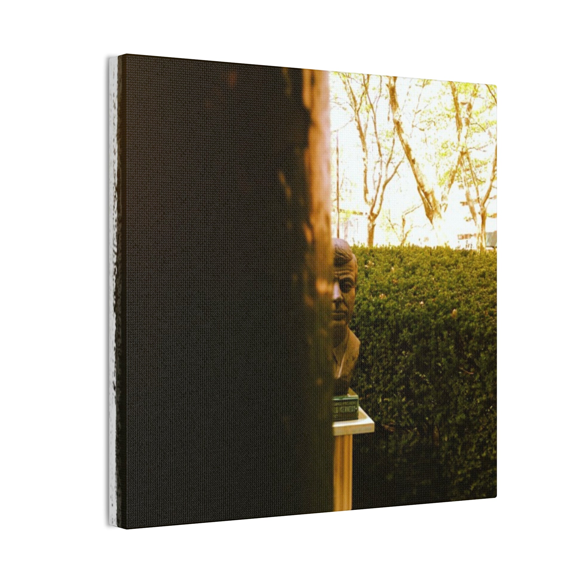 Canvas Art Print