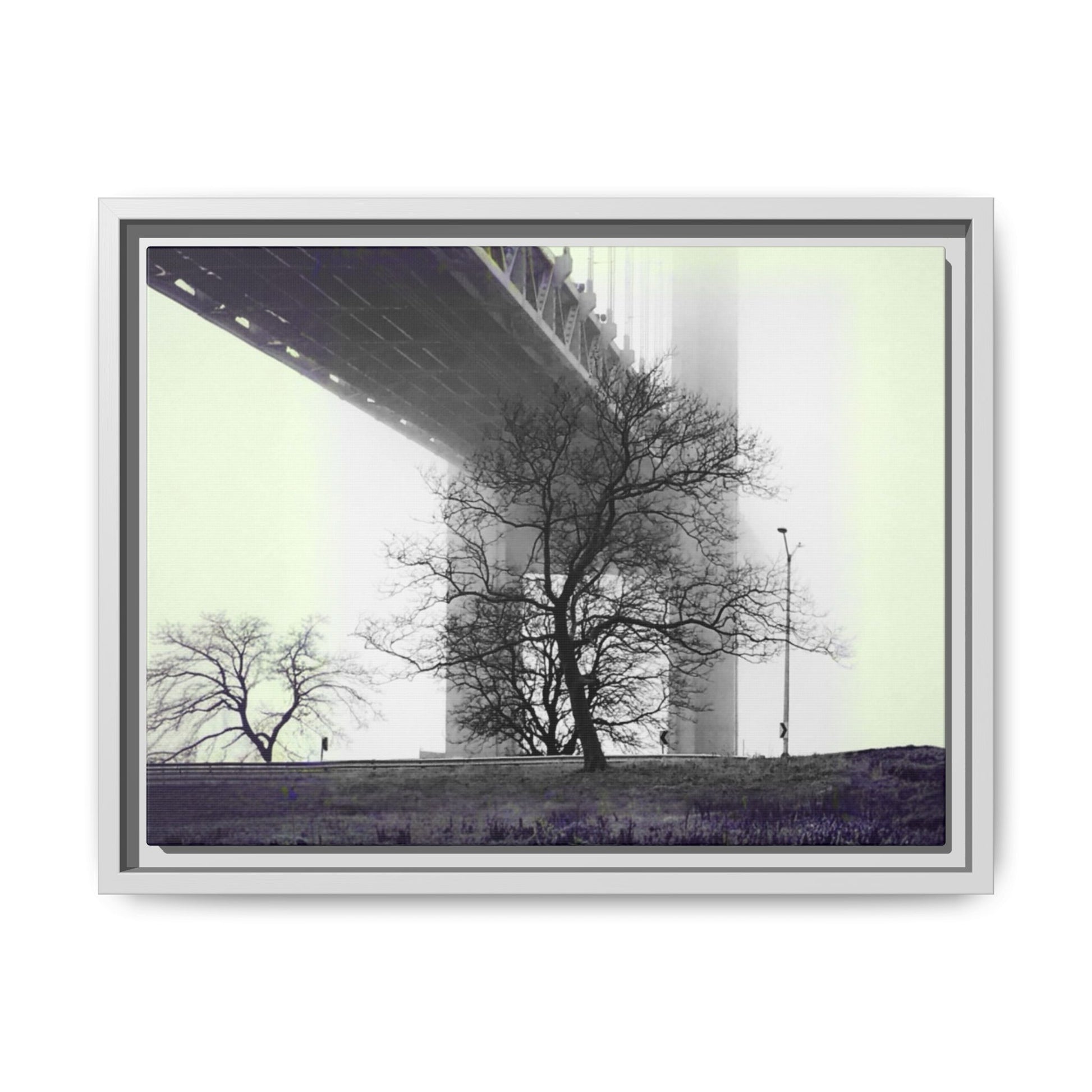 "Verrazano Bridge"