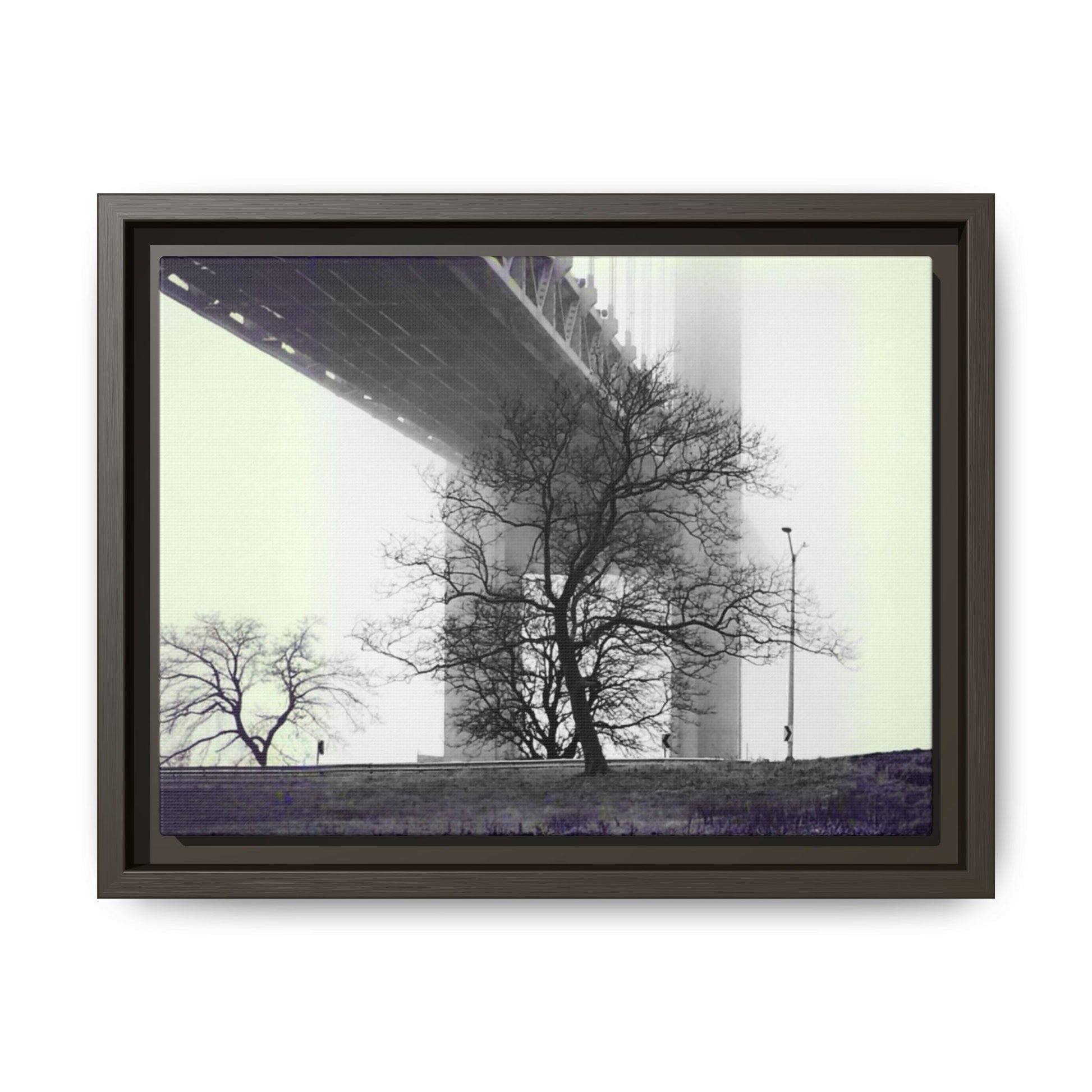 "Verrazano Bridge"