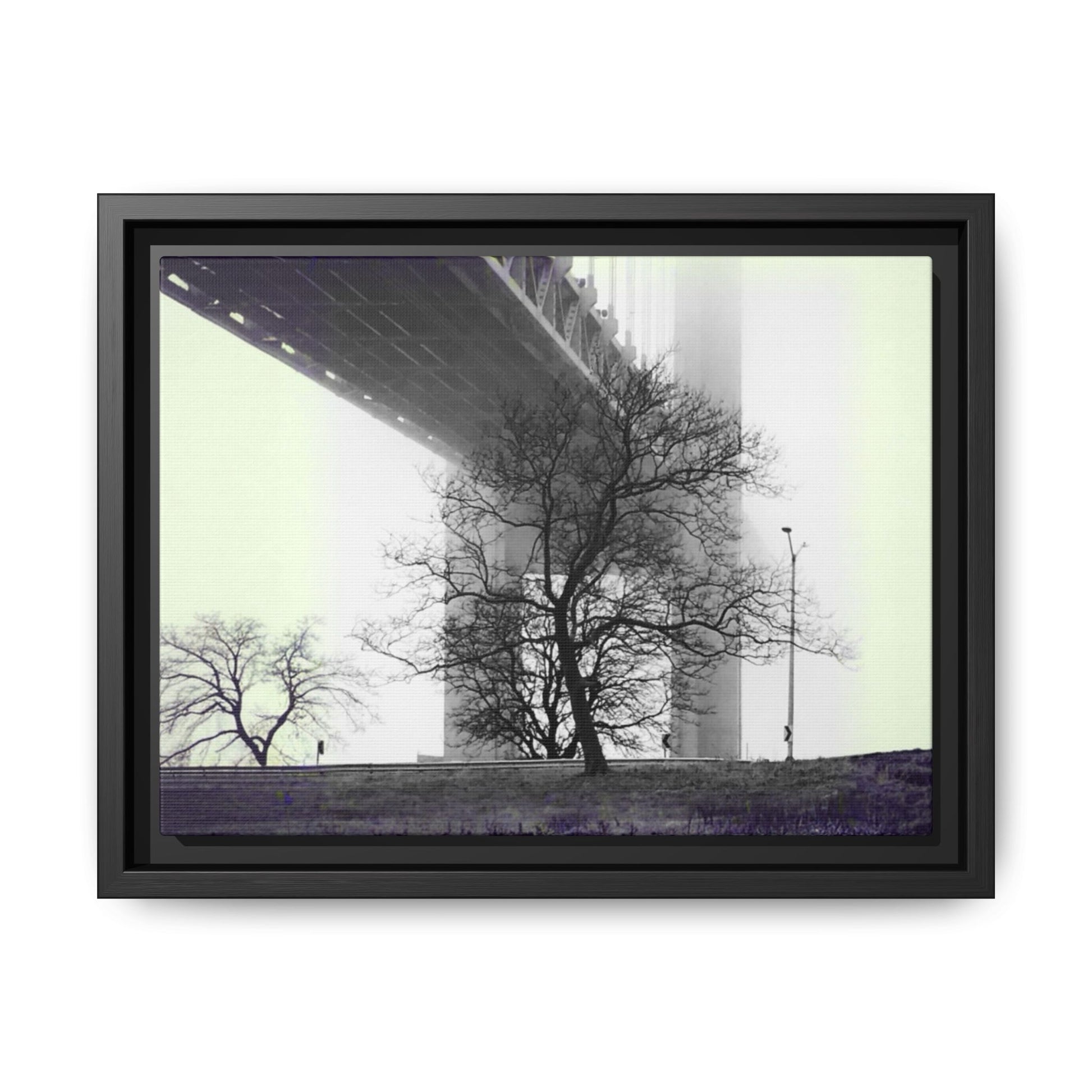 "Verrazano Bridge"