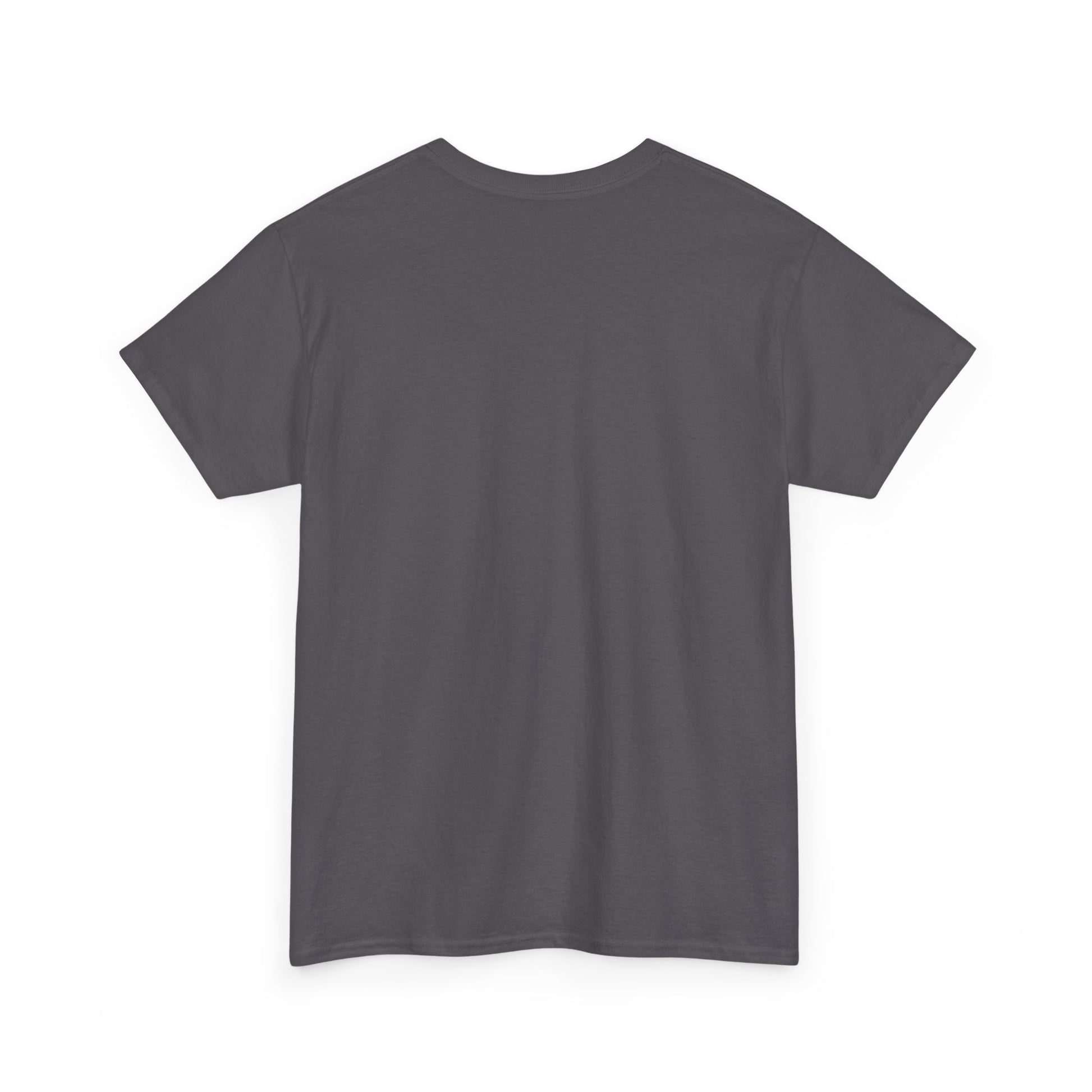 'Don't Mess with Me, I'm From Georgia' Shirt