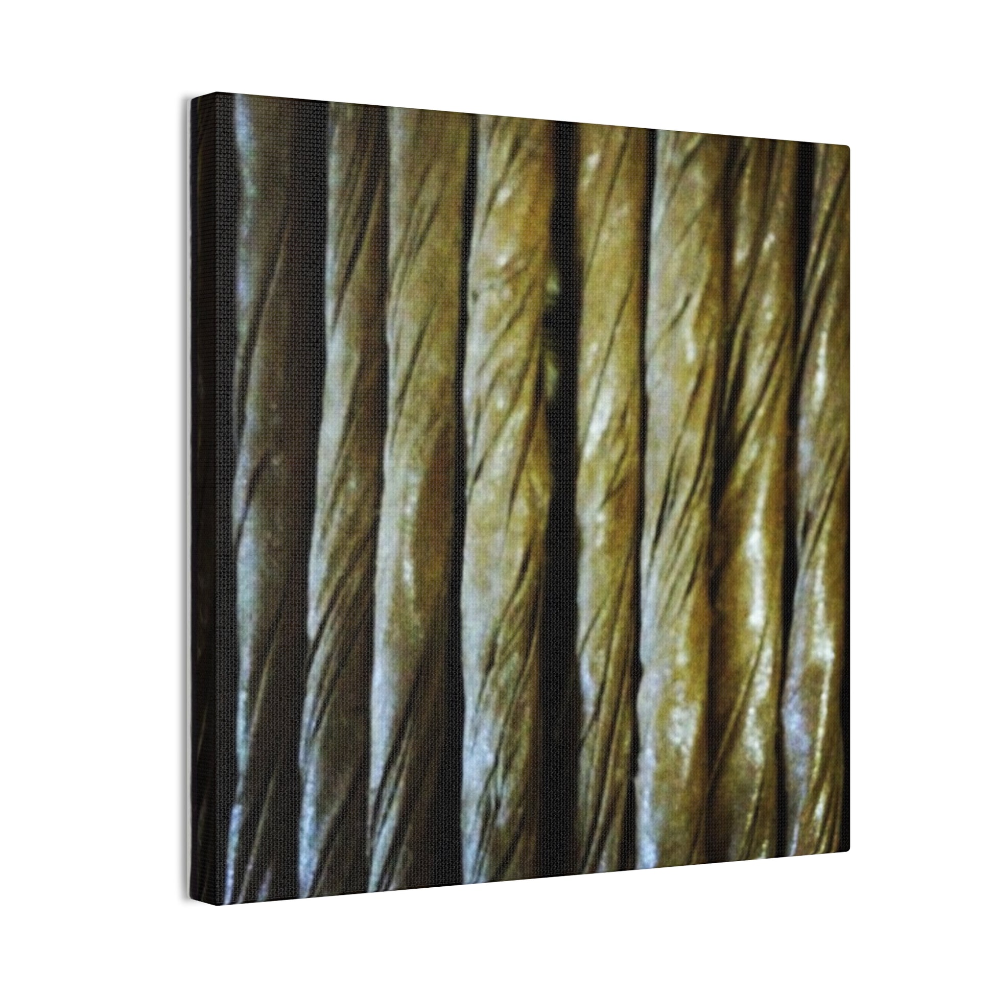 Artistic Canvas Wall Art, Rustic Home Decor, Unique Gift, Nature Photography, Modern Wall Decor